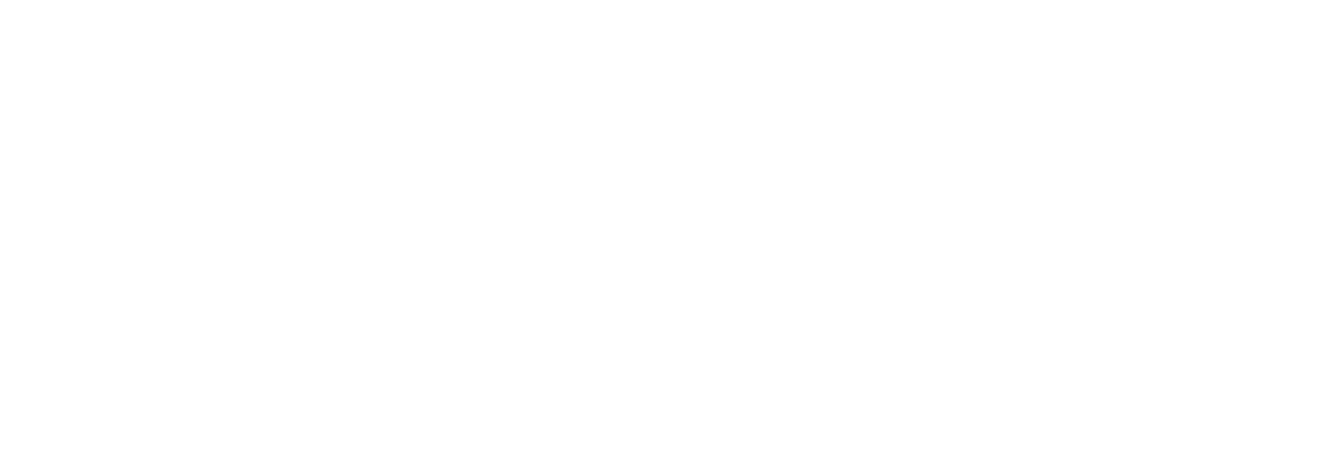 KT Insurance